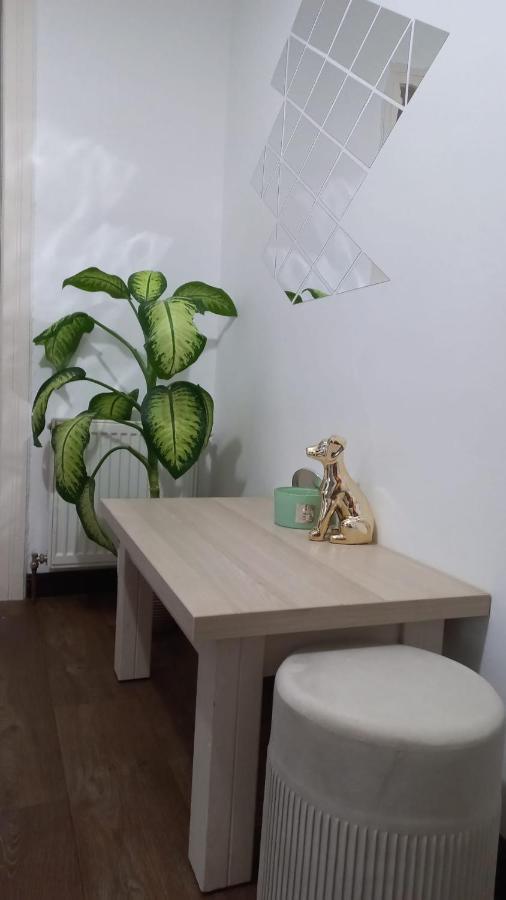 Dove Apartment Sibiu Extérieur photo