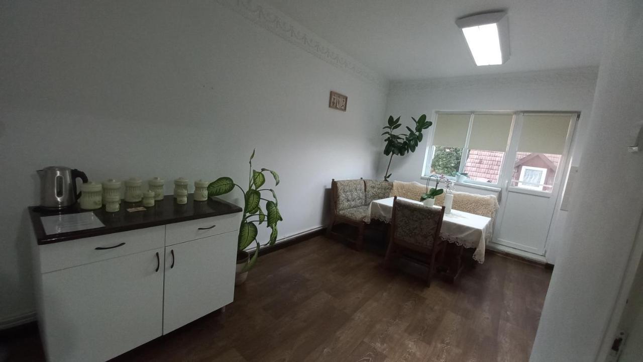Dove Apartment Sibiu Extérieur photo